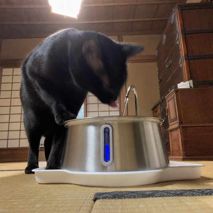 真由美さんの写真