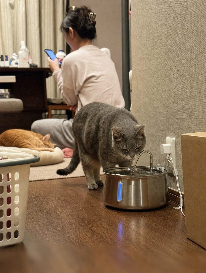 洋子さんの写真